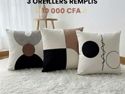 Lot de 3 oreillers déjà remplis