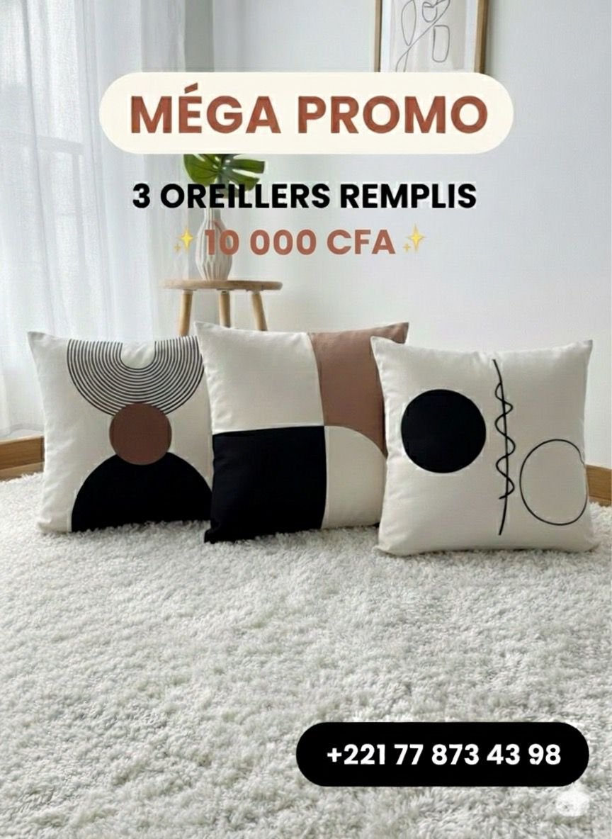 Lot de 3 oreillers déjà remplis