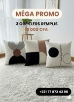 Lot de 3 oreillers déjà remplis