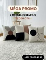 Lot de 3 oreillers déjà remplis